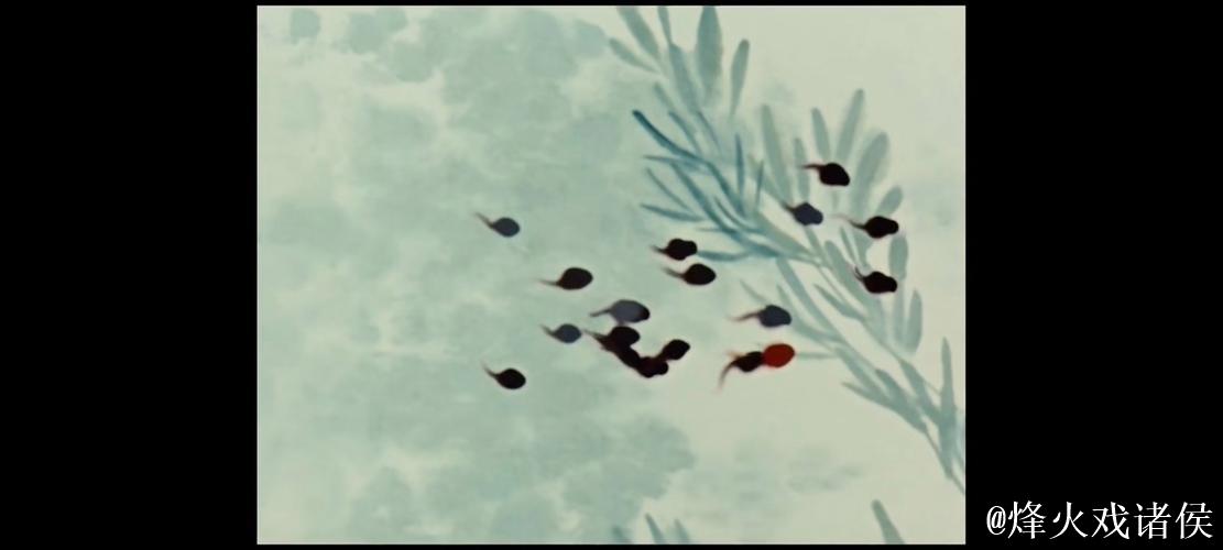 窝蝌蚪在线观看